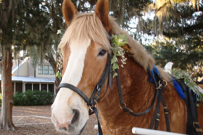 #1 Historical Horse Drawn Carriage Tour - The church, cemetery, and Beaufort’s first chapters