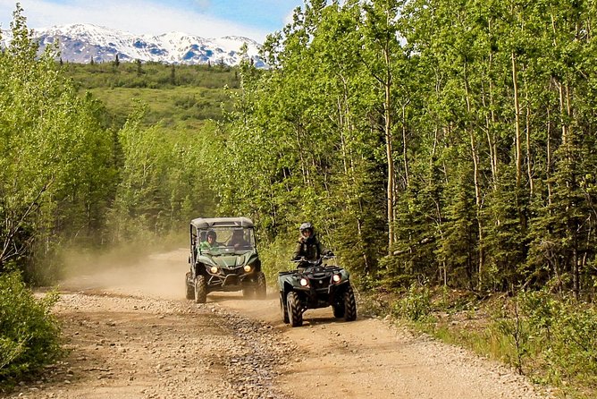 2.5-Hour Denali Wilderness ATV Adventure Tour - Creek beds, water crossings, and mud