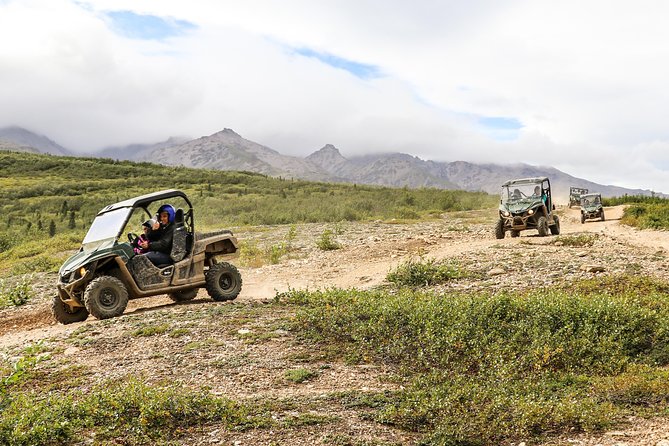 2.5-Hour Denali Wilderness ATV Adventure Tour - From hotel pickup to the safety briefing
