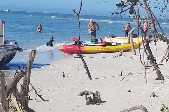 2.5-Hour Guided Group Kayak Tour on Big Hickory Pass - The beach or sandbar stop adds real value