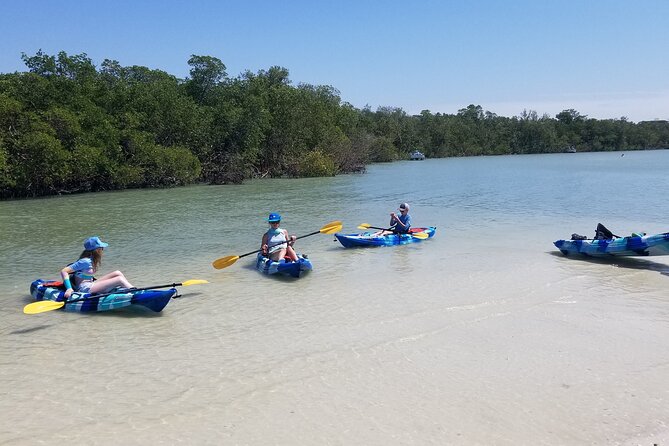 2.5-Hour Guided Group Kayak Tour on Big Hickory Pass - Morning and afternoon timing