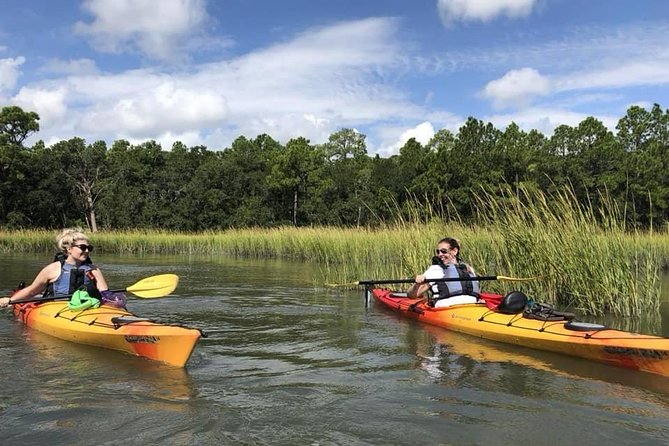 2-Hour Guided Kayak Eco Tour in Charleston - Why Bowens Island is a good place to see Charleston