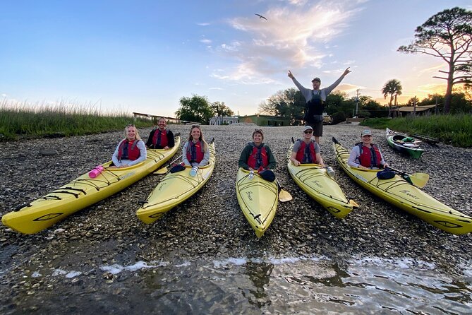 2-Hour Guided Kayak Eco Tour in Charleston - Wildlife you might see from the kayak