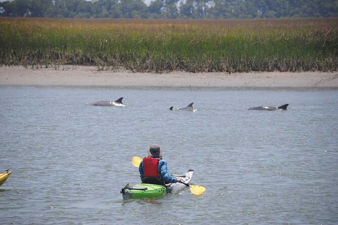 2-Hour Guided Kayak Eco Tour in Charleston - Guides make or break the experience