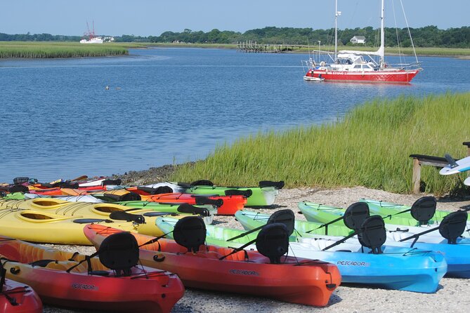 2-Hour Guided Kayak Eco Tour in Charleston - Single or tandem kayak?