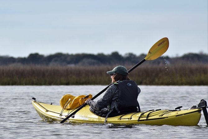 2-Hour Guided Kayak Eco Tour in Charleston - What the 2-hour route is really like