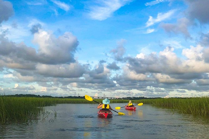 2-Hour Hilton Head Guided Kayak Nature Tour - From paddle clinic to salt marsh