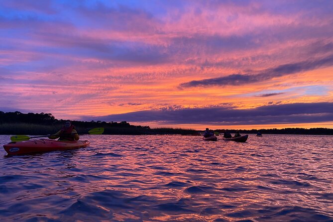 2-Hour Hilton Head Guided Kayak Nature Tour - Wildlife sightings depend on tide and timing