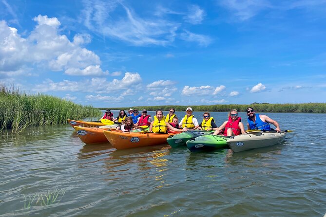 2-Hour Hilton Head Guided Kayak Nature Tour - The views are peaceful, not dramatic