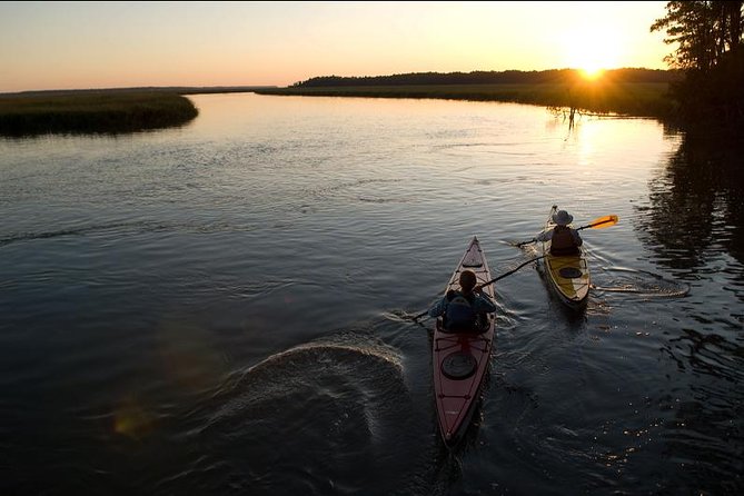 2-Hour Hilton Head Guided Kayak Nature Tour - Is $47 a good value?