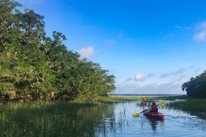2-Hour Hilton Head Guided Kayak Nature Tour - Who will enjoy this most