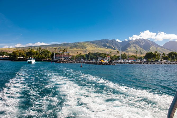 2-Hour Oahu Whale Watch from Ala Wai Harbor, Waikiki - What the two-hour route feels like