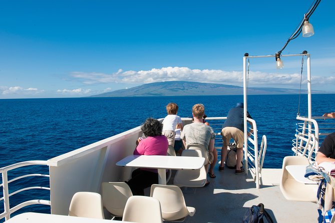 2-Hour Oahu Whale Watch from Ala Wai Harbor, Waikiki - How much value do you get for $49.95?