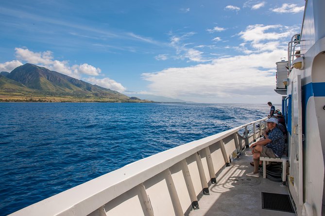 2-Hour Oahu Whale Watch from Ala Wai Harbor, Waikiki - The real risk: no whales and rough water