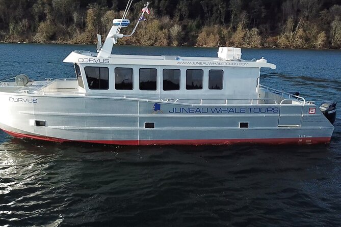 3.5 Hour Crowd-Skipping Whale Tour in Juneau, Alaska - Why this Juneau whale tour is worth a close look