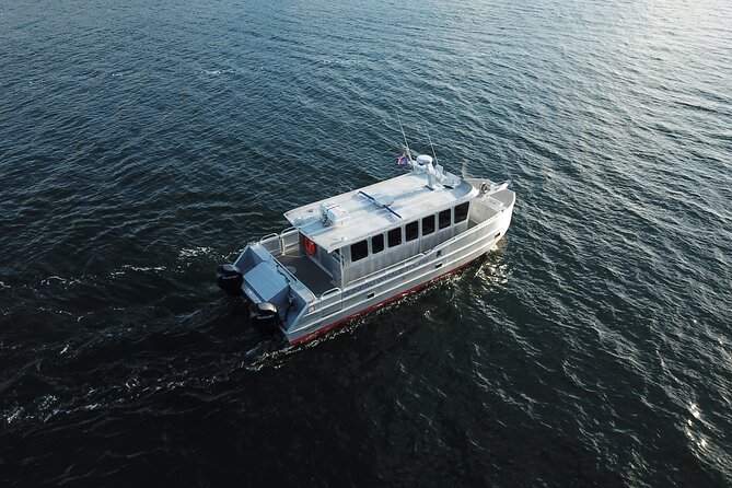 3.5 Hour Crowd-Skipping Whale Tour in Juneau, Alaska - A small catamaran changes the whale-watching game