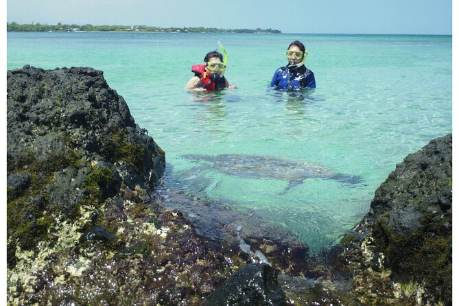 3.5 Hour Kailua-Kona Ocean Kayak and Snorkel Tour - Paddling the Kona coast in a stable kayak
