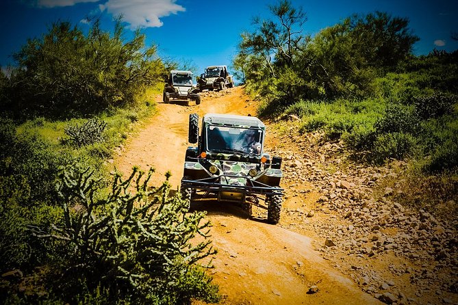 3 Hour Guided TomCar ATV Experience in Sonoran Desert - Why the guide matters