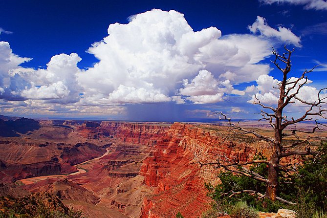 3 Hour Off-Road Sunset Safari to Grand Canyon with Entrance Gate Detour - Pickup details need a careful check