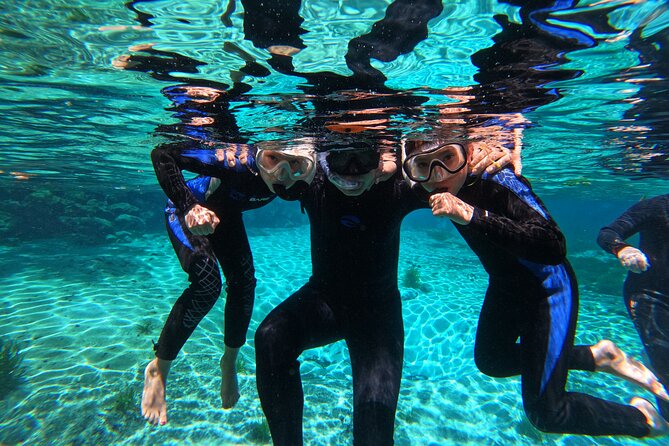 3 hours Manatee Swim Tour in Florida - How Crowding Affects the Experience
