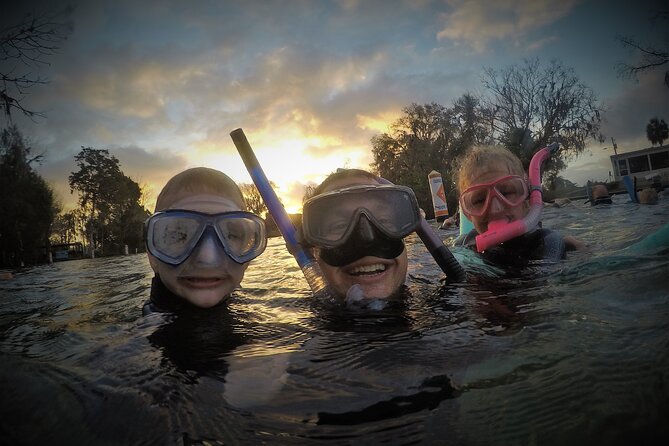 3 hours Manatee Swim Tour in Florida - Families, Beginners, and First-Time Snorkelers