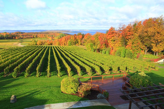 5-Hour Traverse City Wine Tour: 4 Wineries on Old Mission Peninsula - Why this bus tour works well from Traverse City