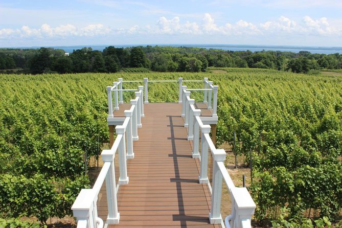 5-Hour Traverse City Wine Tour: 4 Wineries on Old Mission Peninsula - Bowers Harbor for broad wine choices