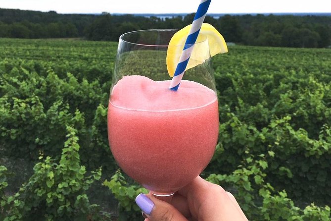 5-Hour Traverse City Wine Tour: 4 Wineries on Old Mission Peninsula - Timing, food, weather, and comfort
