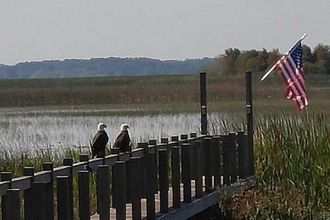 90 minute Everglades Airboat Tour near Orlando Florida - A wetland ride close to Orlando