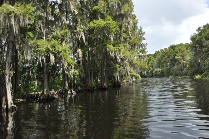 90 minute Everglades Airboat Tour near Orlando Florida - Who will enjoy this most?