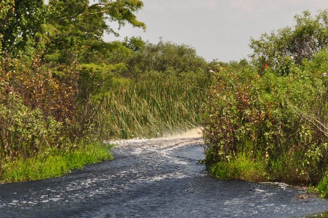 90 minute Everglades Airboat Tour near Orlando Florida - What happens during the 90-minute route