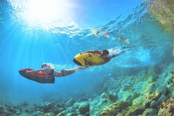 90-Minute Snorkel & Seabob Underwater Guided Reef Tour in Fort Lauderdale - What you may see below the surface