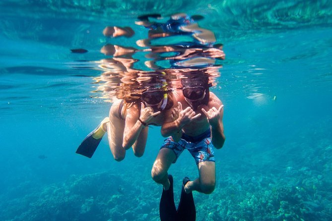 Afternoon Sail & Snorkel to the Captain Cook Monument - Should you book the Sea Paradise afternoon snorkel?