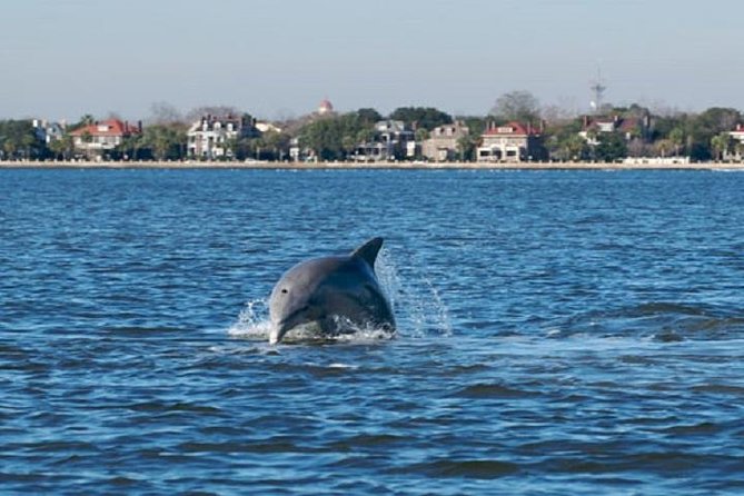 Afternoon Schooner Sightseeing Dolphin Cruise on Charleston Harbor - Why sailing Charleston Harbor feels different