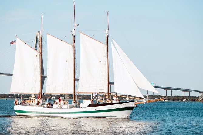 Afternoon Schooner Sightseeing Dolphin Cruise on Charleston Harbor - Fort Sumter, the Battery, and Charleston’s older waterfront