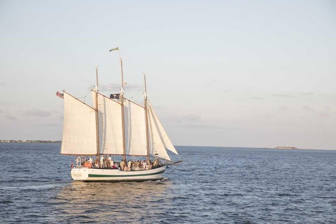 Afternoon Schooner Sightseeing Dolphin Cruise on Charleston Harbor - Dolphin watching without false promises