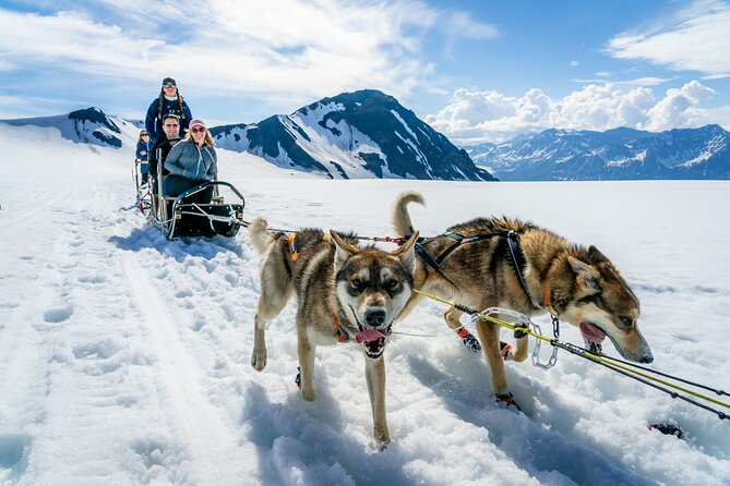 Alaska Helicopter and Glacier Dogsled Tour - ANCHORAGE AREA - Landing on a high glacier in summer