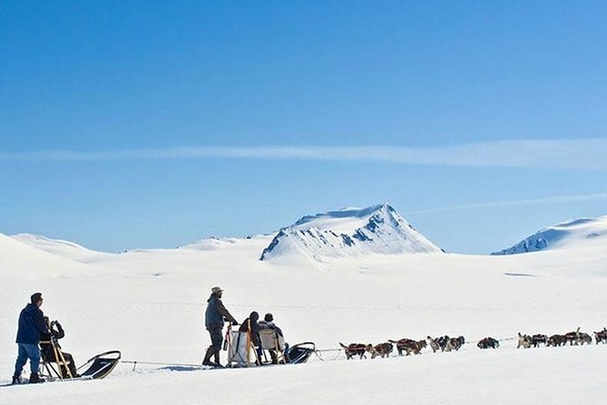 Alaska Helicopter and Glacier Dogsled Tour - ANCHORAGE AREA - Practical planning for an Anchorage-area departure
