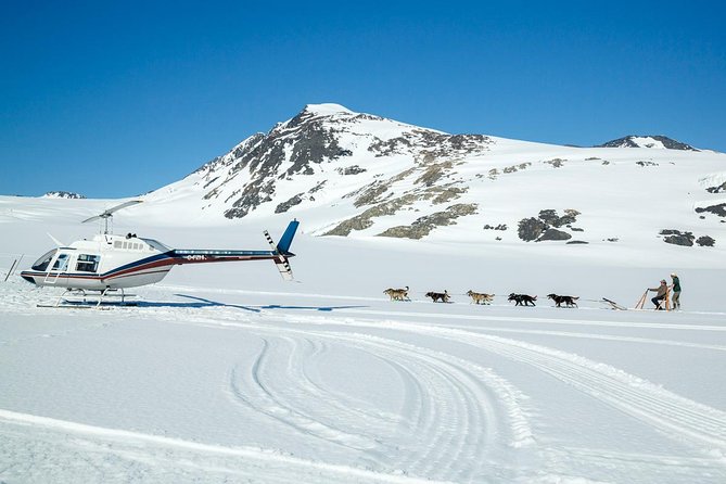 Alaska Helicopter and Glacier Dogsled Tour - ANCHORAGE AREA - Should you book this helicopter and dogsled tour?