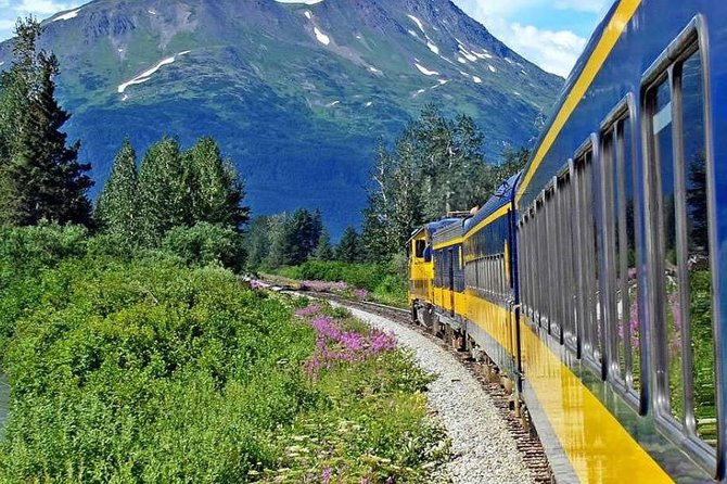 Alaska Railroad Anchorage to Seward Round-Trip Same Day Return - The six-hour Seward window