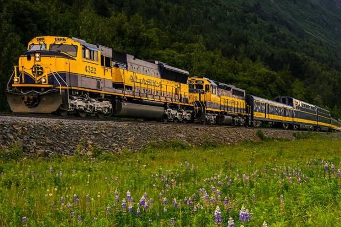 Alaska Railroad Anchorage to Seward Round-Trip Same Day Return - Is $226 good value?