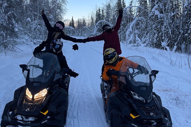 Alaska Snowmobile Adventure Tour - Who should book this snowmobile adventure?