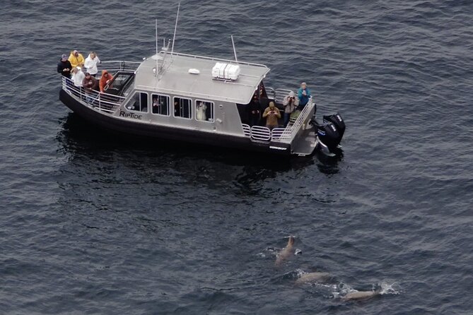 Alaska Whale Watching with bonus Drone viewing of Whales - Setting out from Hoonah into Icy Strait