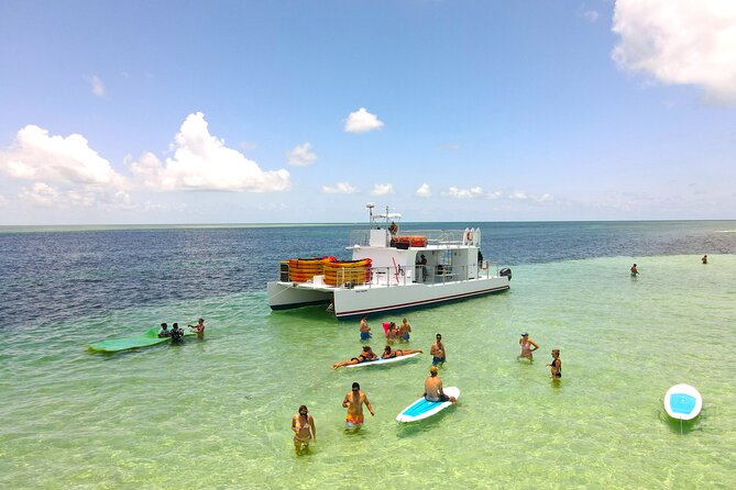 All-Inclusive Sandbar Safari with Dolphin Playground Encounter - Dolphin watching in the Florida Keys National Marine Sanctuary
