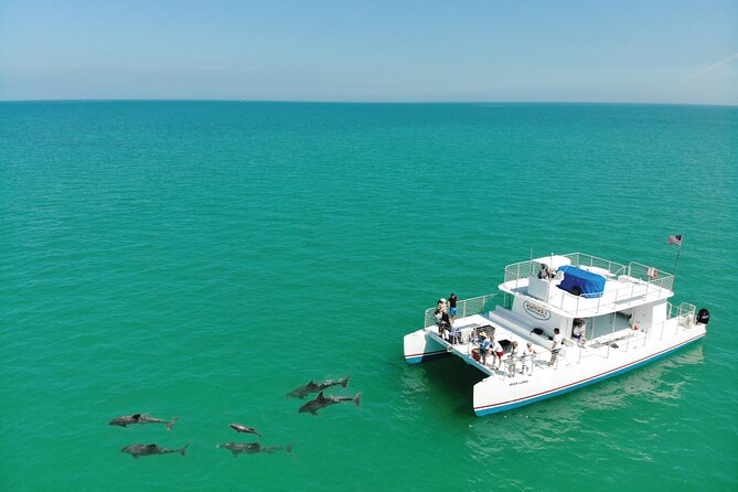 All-Inclusive Sandbar Safari with Dolphin Playground Encounter - What the onboard atmosphere is really like