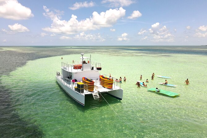 All-Inclusive Sandbar Safari with Dolphin Playground Encounter - Should you book it?