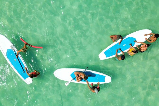 All-Inclusive Sandbar Safari with Dolphin Playground Encounter - Lunch, drinks, and the value of the $149.95 fare