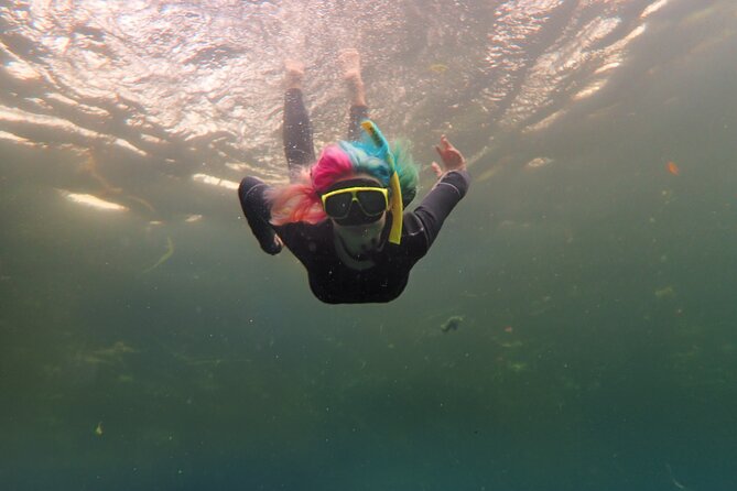 All-Inclusive Small Group Manatee Swim with Free Photos - Getting ready at Nature’s Discovery