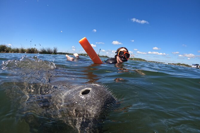 All-Inclusive Small Group Manatee Swim with Free Photos - The included photo package is a real benefit