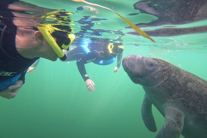All-Inclusive Small Group Manatee Swim with Free Photos - What the $89.95 price really includes